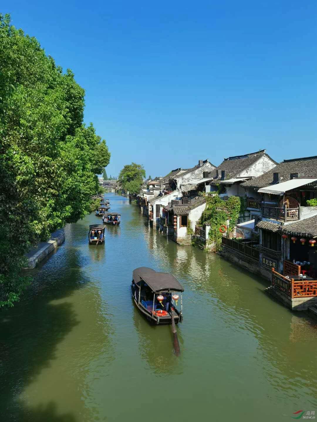 给小怪喂食
